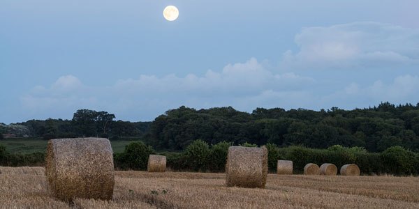 image of full hay moon