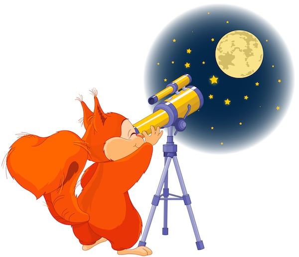 14360457 Squirrel astronomer