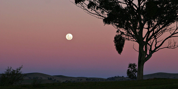 Pink sky and full moon image